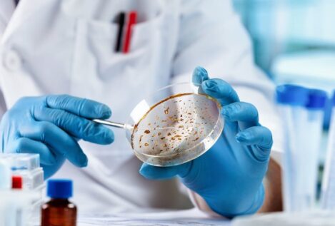 Micoterapia: ¿puede un hongo ser la clave para curar el cáncer?