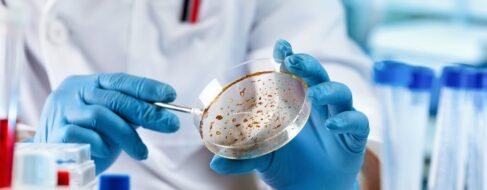 Micoterapia: ¿puede un hongo ser la clave para curar el cáncer?