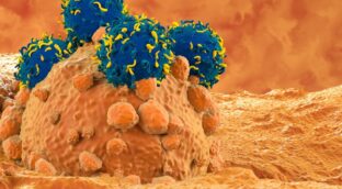 CAR-T: así funciona la terapia que está revolucionando la lucha contra el cáncer