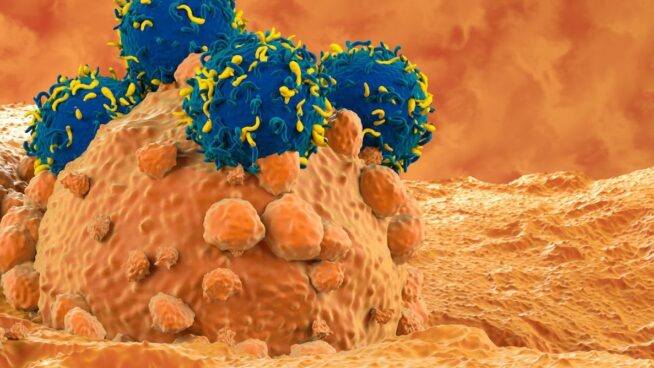 CAR-T: así funciona la terapia que está revolucionando la lucha contra el cáncer