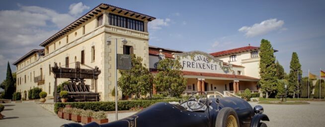 Freixenet anuncia un ERE para 180 empleados, el 24% de la plantilla, por los efectos de la sequía