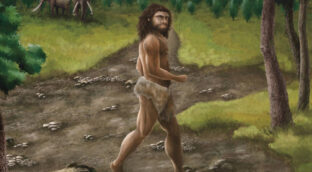 Hallan en Taiwán una mandíbula de un denisovano, pariente de los humanos