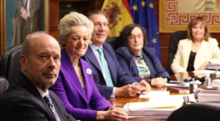 Las feministas piden al Constitucional que recuse a Juan Carlos Campo y no avale la 'ley trans'