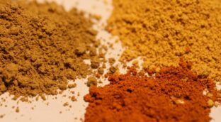 La crema solar prehistórica, clave para la supervivencia de los ‘Homo Sapiens’