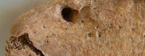 Primera prueba ósea de combates entre gladiadores romanos y leones