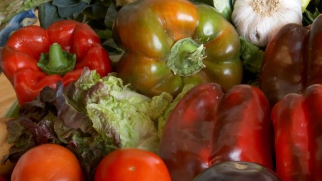 España y Vietnam alcanzan un acuerdo en materia de calidad y seguridad alimentaria