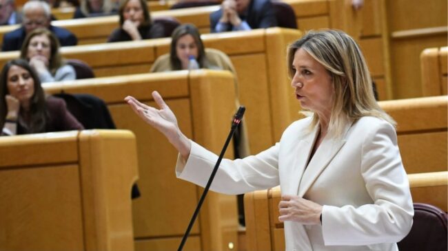 El PP inicia en el Senado la batalla contra el Gobierno y el Congreso por eliminar enmiendas