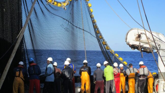El Gobierno autoriza la gestión de la pesca de rabil para los buques congeladores en el Índico