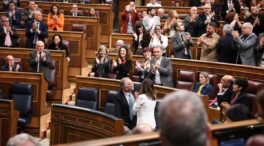 El Congreso ratifica el decreto ley para reubicar a menores inmigrantes con el 'no' del PP y Vox