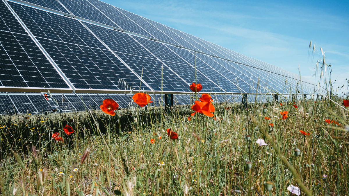 El Gobierno teme que una sobreinversión para evitar los apagones suba los precios de la solar