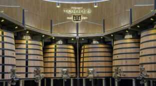 Innovación y sostenibilidad: la apuesta de Familia Torres por el futuro del vino