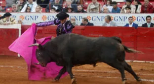 Los animalistas se movilizan en Cádiz contra una corrida de toros en homenaje a Paquirri