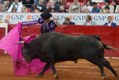 Los animalistas se movilizan en Cádiz contra una corrida de toros en homenaje a Paquirri