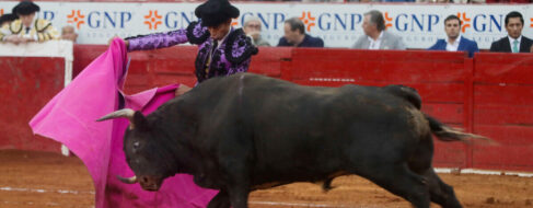 Los animalistas se movilizan en Cádiz contra una corrida de toros en homenaje a Paquirri