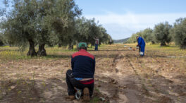 El 21% de los contratos creados en marzo en Málaga fueron para extranjeros
