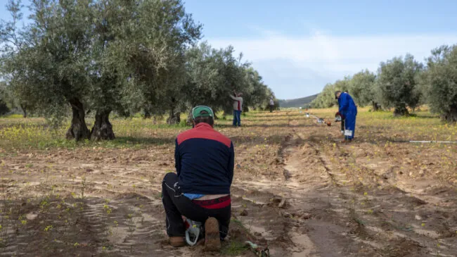 Los habitantes de la España vacía dependen más del sector público