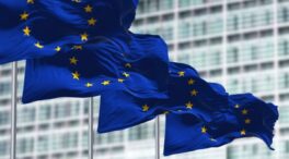 Bruselas vuelve a excluir la potasa de la lista de materias primas fundamentales