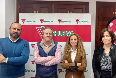 Consumir fresas a diario podría reducir el dolor menstrual en jóvenes, según un ensayo clínico