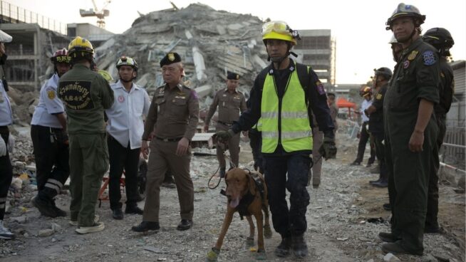 Inditex dona 400.000 euros para la atención a víctimas del terremoto en Birmania