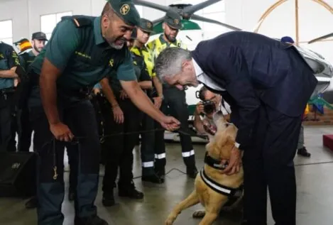 La Guardia Civil cuenta con 621 perros, 156 caballos y un jabalí en plantilla