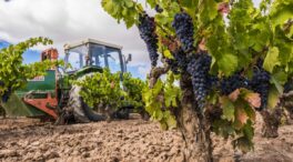 El PP exige al Gobierno revisar los impuestos del vino ante las amenazas arancelarias