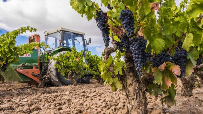 El PP exige al Gobierno revisar los impuestos del vino ante las amenazas arancelarias