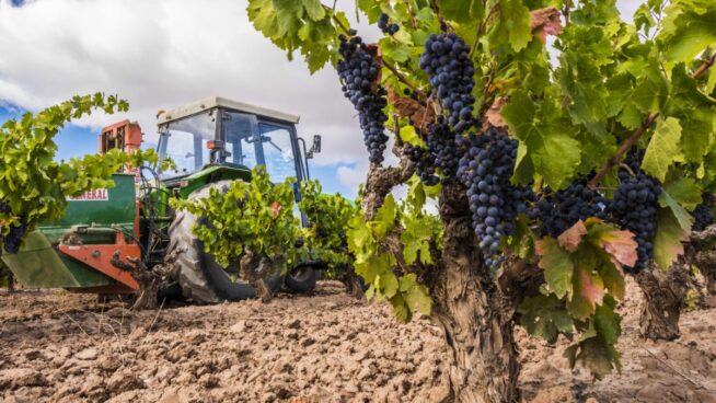 El PP exige al Gobierno revisar los impuestos del vino ante las amenazas arancelarias