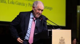 Pumpido: «Todos los poderes públicos están sometidos al Tribunal Constitucional»