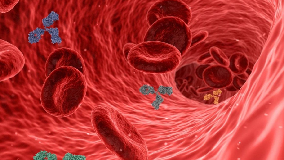 Una nueva prueba del ‘colesterol malo’ previene con más precisión enfermedades coronarias