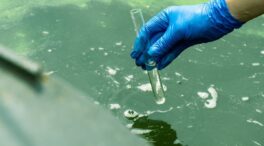 Así podemos entrenar a las bacterias para que eliminen medicamentos del agua