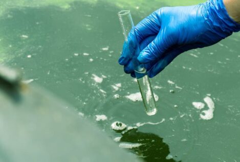 Así podemos entrenar a las bacterias para que eliminen medicamentos del agua