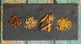 ¿Cuántos insectos deberíamos consumir para sustituir nutritivamente la carne?