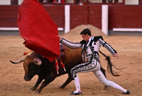 Más Madrid pide eliminar el Premio de Cultura a la Tauromaquia y las subvenciones al toreo