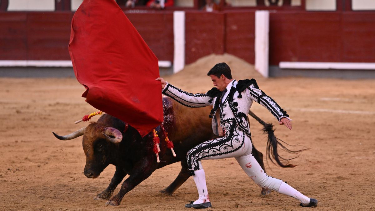 Más Madrid pide eliminar el Premio de Cultura a la Tauromaquia y las subvenciones al toreo