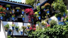 Patios de Córdoba 2025: fechas claves y los bares donde probar flamenquines inolvidables