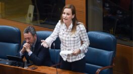 Vox pide a Ayuso que vaya al Constitucional si sus propuestas son «inconstitucionales»