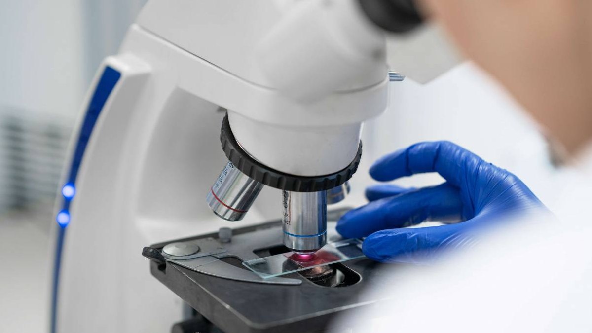 La falta de una proteína inicia el cáncer de colon en ratones