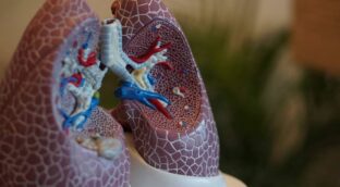 La pérdida de la capacidad pulmonar comienza entre los 20 y los 25 años