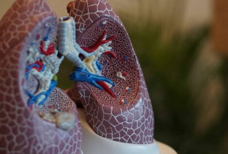 La pérdida de la capacidad pulmonar comienza entre los 20 y los 25 años