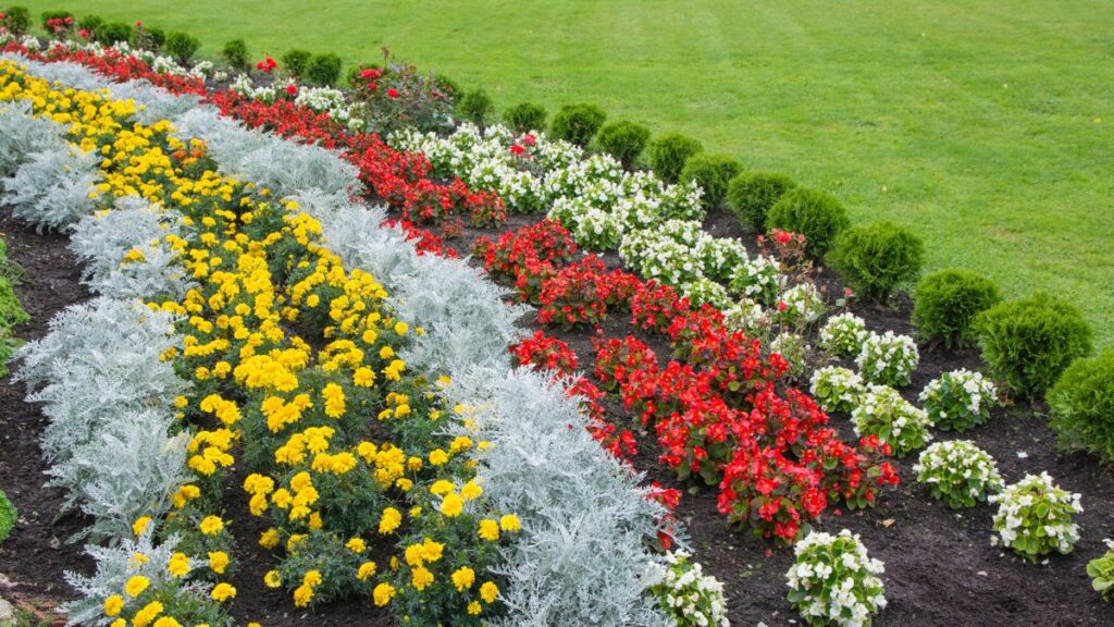 Parterre floral: (Canva)