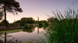 Aprender de la naturaleza para enfrentar el desafío climático