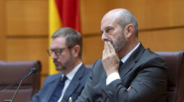 Un informe de la letrada mayor del Senado confirma que no hubo espionaje