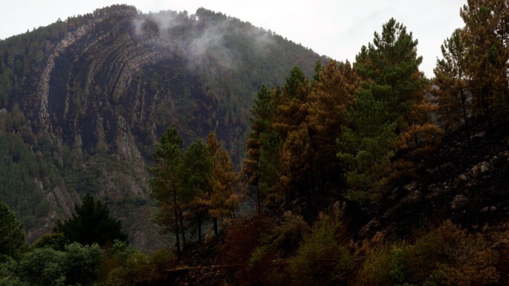 Ribas de Sil