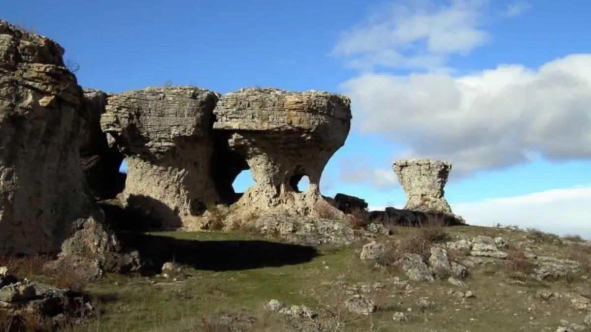 La Ruta de las Tuerces: un museo natural al aire libre a menos de una hora de Cantabria