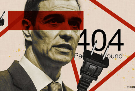 Pedro 404, el galgo de Paiporta  y la conspiración del enchufe