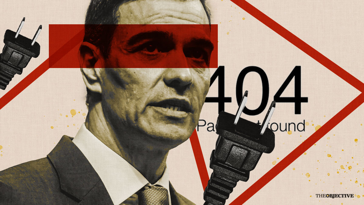 Pedro 404, el galgo de Paiporta y la conspiración del enchufe