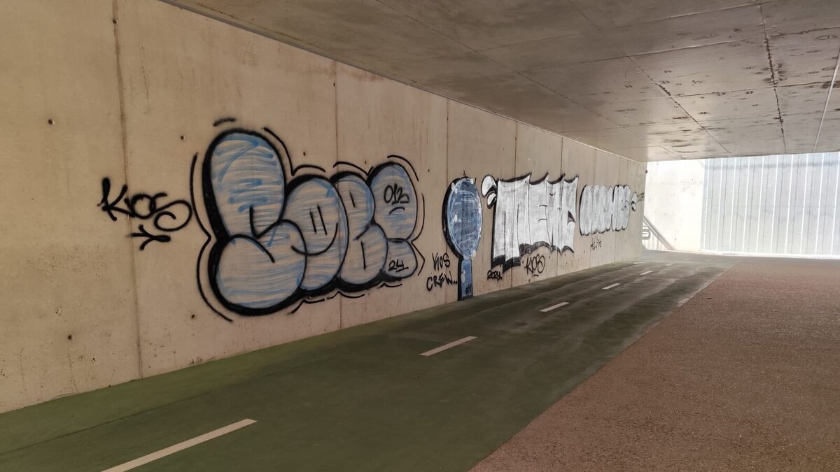 Valladolid: la Plataforma por el Soterramiento rechaza el túnel entre Unión y Pelícano