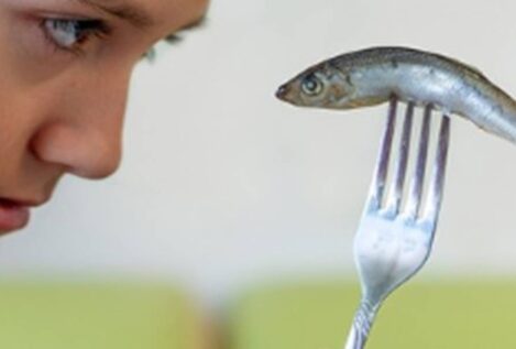 Una evaluación cuestiona que el pescado mejore la inteligencia infantil
