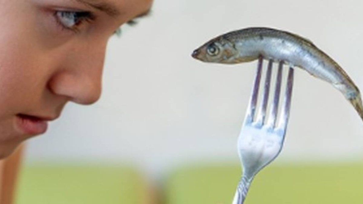 Una evaluación cuestiona que el pescado mejore la inteligencia infantil