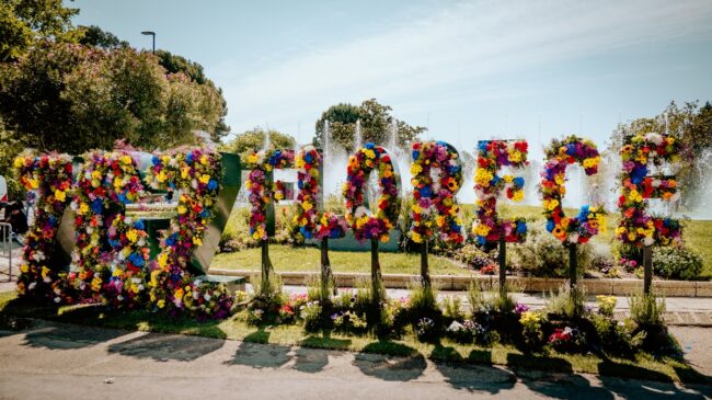 Zaragoza Florece 2025: una cita con la belleza, la moda y el arte floral